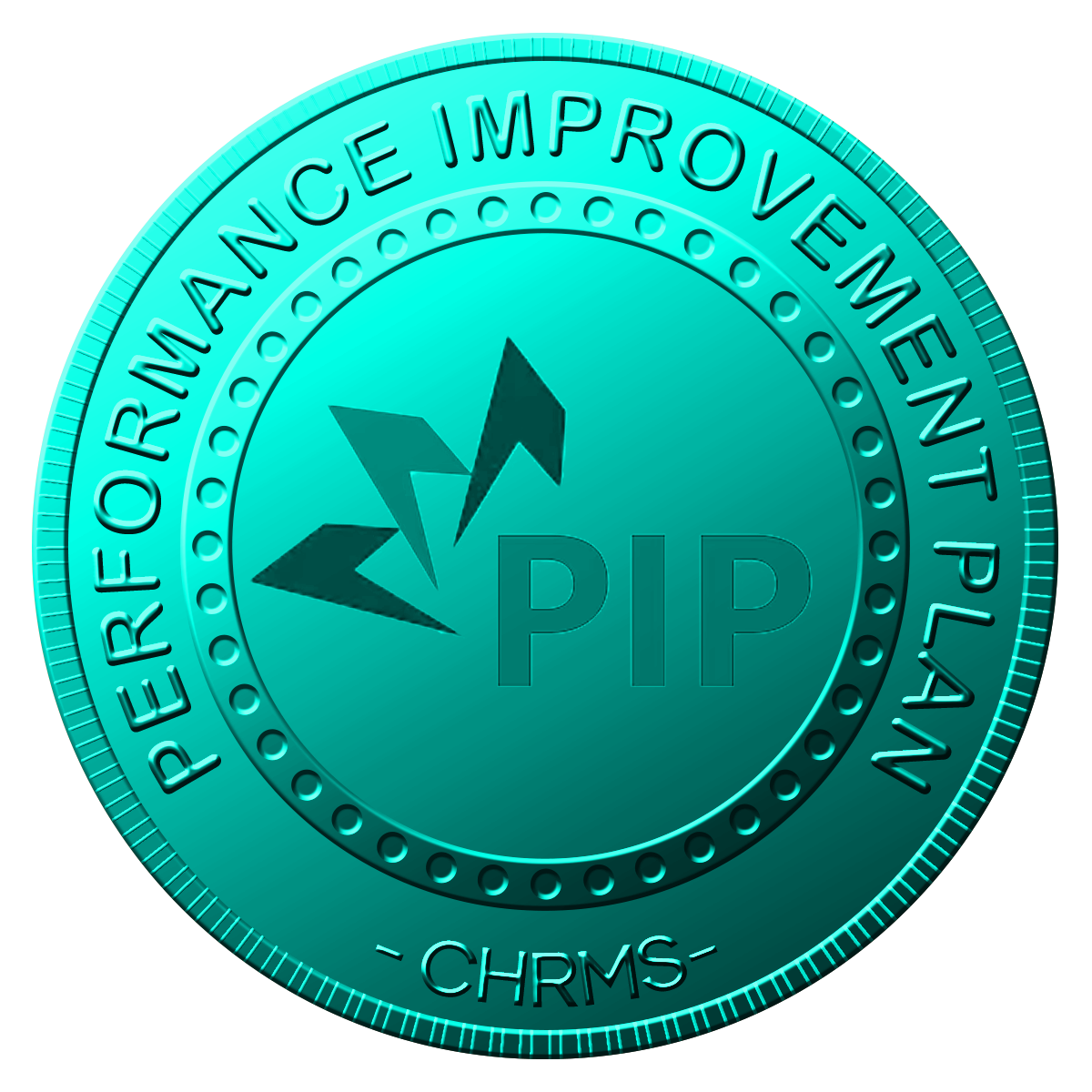 Performance Improvement Plan